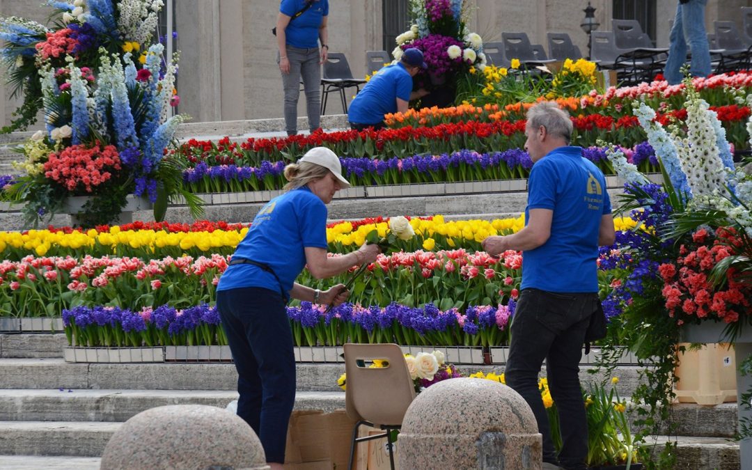 Nederlandse bloemen met Pasen op het Sint-Pietersplein in kleuren van het Heilig Jaar