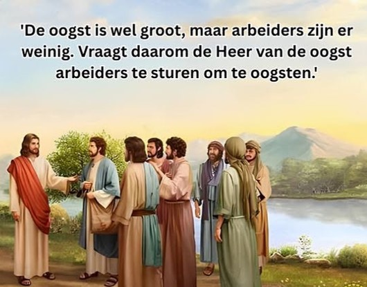 11e zondag dhj